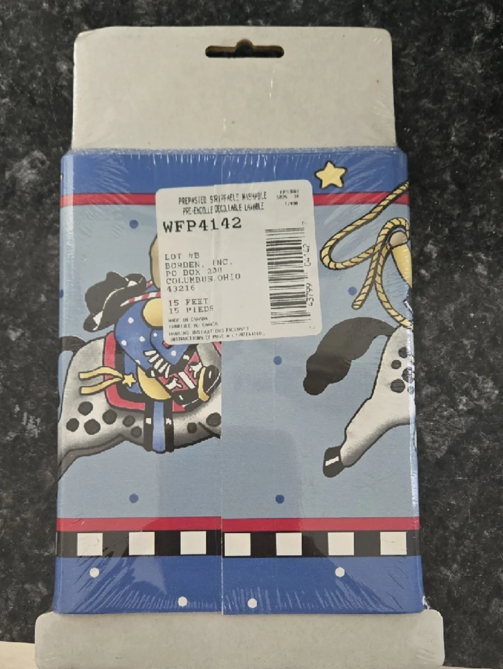 Daisy Kingdom Cowboy Horse Decorative Border – 2 Unopened Packages (5 Yards Each